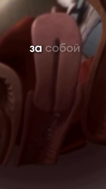 Диагноз: Опущенип 😭