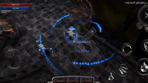 Anima ARPG-прохождение за мага. Убийство босса "Зверь". Подписывайтесь на канал.