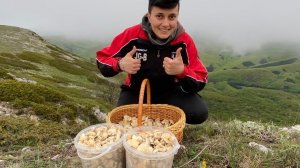 Собираем грибы ВЫШЕ ОБЛАКОВ! Крым утопает в грибах