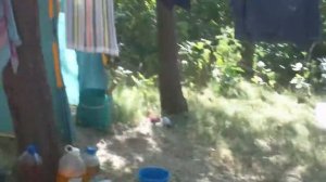 Рыбалка в Харабалях. Наш лагерь. лето 2014  год. река Волга.