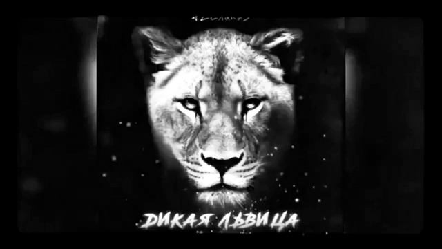 Песня дикая львица смотреть онлайн