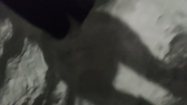 прогулка в 6 утра