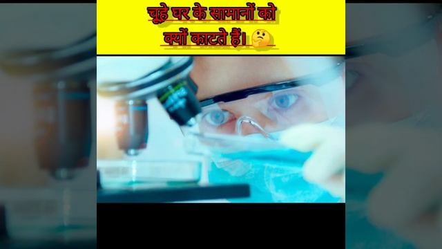 जान लो दोस्तों चूहे क्यों काटते हैं? घर के सामान 😱🤔#shorts #mice смотреть онлайн