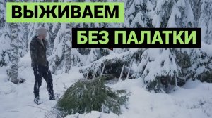 Выживаю зимой в лесу без палатки | Укрытие из веток