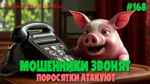 Бойцы невидимого фронта против разводил и аферистов | Подборка разговоров с мошенниками по телефону