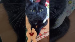 Я Тебе Поставлю Лайк!❤❤❤(одета только для съёмок)
