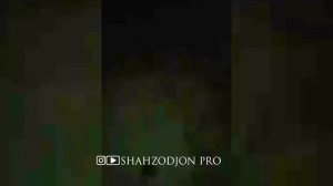 БОЗ Я КЕЛИНИ ЗИНОКОР КАПИДАН 2022