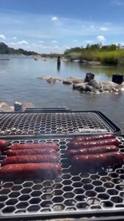 Water weenies by boar & bison genie’s @forceofnaturemeats with help from some hotdog houdini’s #bbq