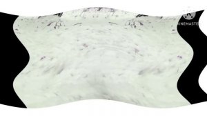 Любопытная белка in G Major 100