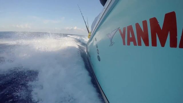 Canyon Reels at the Cayman Islands International Fishing Tournament 2016 смотреть онлайн