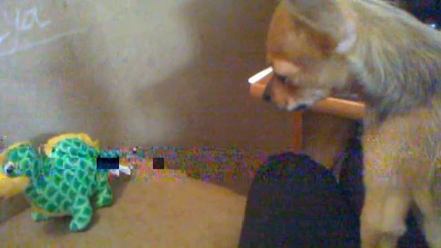 мартюша и дракончик 2 :DDDDDDDDDD смотреть онлайн