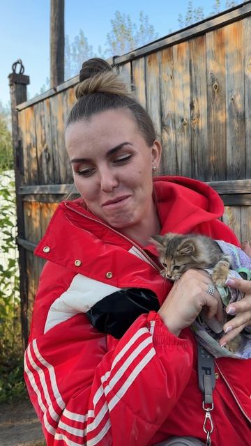 Уличная кошка смотреть онлайн