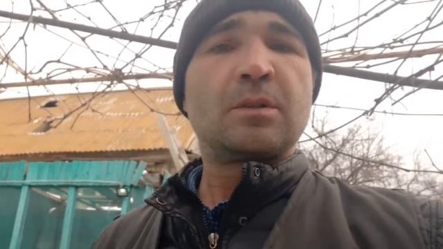 утро в деревне Кудряшово. утки куры. смотреть онлайн