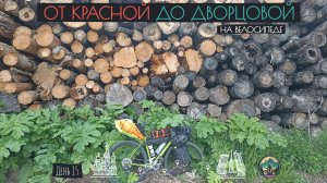 День 15. От Красной до Дворцовой на велосипеде. Ленинградская область. (08.06.24)