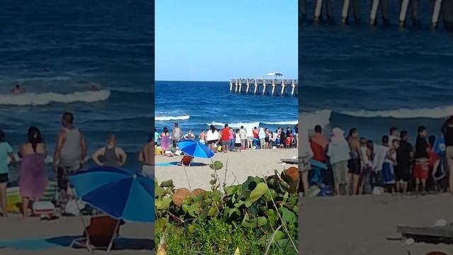 Playa en west Palm beach смотреть онлайн