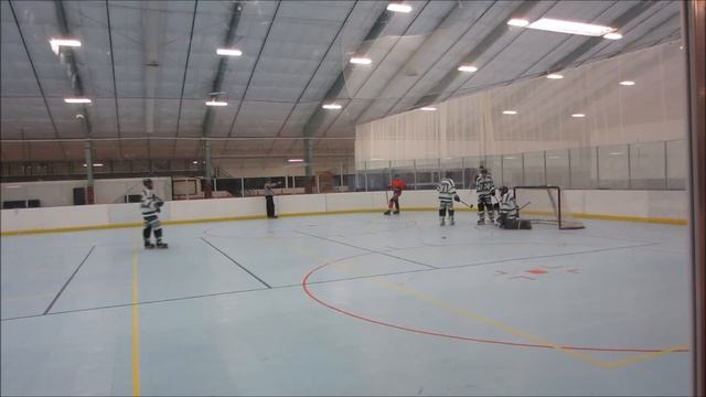 Cobras VS EMU 1 смотреть онлайн