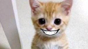 Строим АЭС в чикен ган. 1 часть