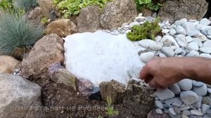 Морская галька в ландшафтном  дизайне на моем участке.