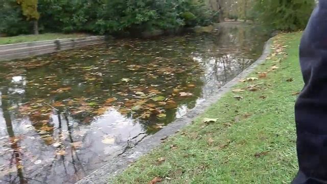 Buffalo 2003 14 completely soaked смотреть онлайн