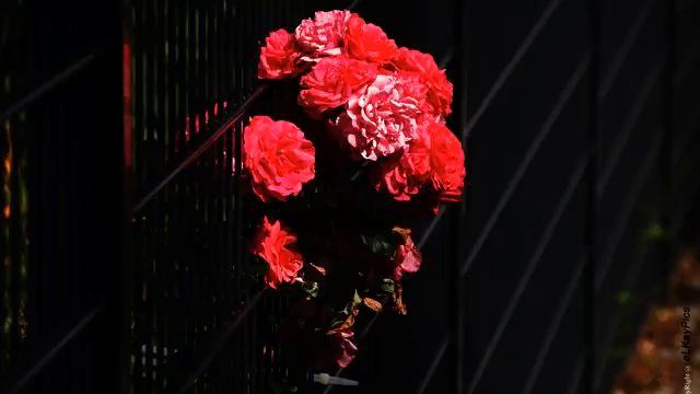 Слушать лучшую русскую песню и фото онлайн