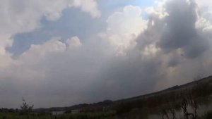 Охота на уток, открытие сезона - ТОЗ-34