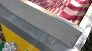 Пчеловодство bee