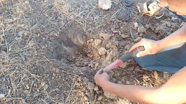 !!!🤯 AL PARECER ENCONTRAMOS RESTOS DE UNA BATALLA DE LA REVOLUCIÓN!!!🤯🤯 смотреть онлайн