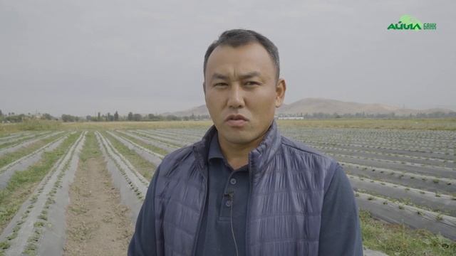 «Айыл банк» полностью освоил сумму по проекту «ФСХ-11» смотреть онлайн
