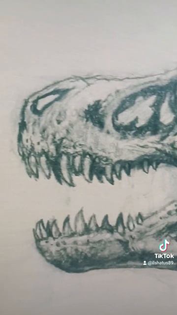 Tyrannosaurus skull #dinosaurus #paleoart #drawing #dinoart смотреть онлайн