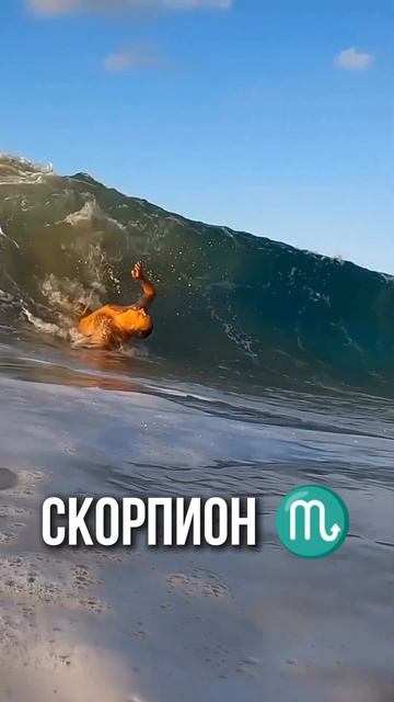АстроЮмор #рак #овен #телец #близнецы #лев #дева #весы #скорпион #стрелец #козерог #водолей #рыбы