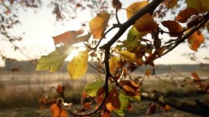 Мен умрни курмай колибман......