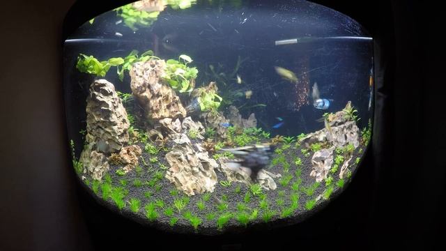 Trigon 190 смотреть онлайн