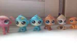 Моя коллекция лпс🐇🐢🐩🐦🐀🐐🐑