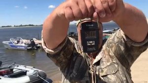 Рыбалка в Харабалях. река Волга. август 2020 г. посёлок Дедушкин.