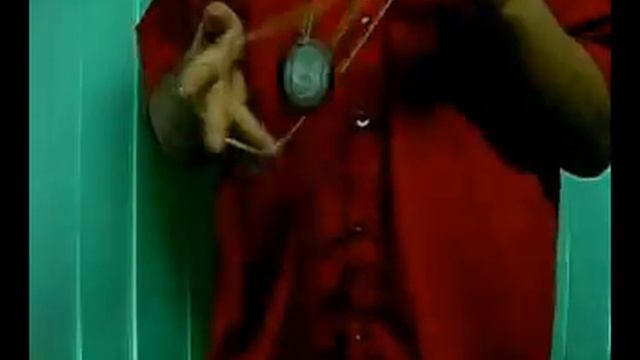 Mosquito Trance смотреть онлайн