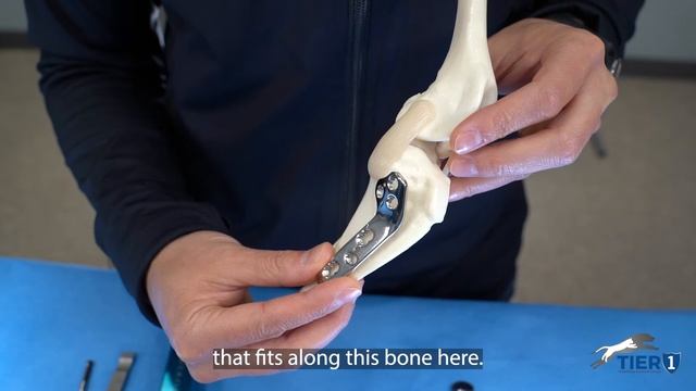 TPLO Surgery at Tier 1 Veterinary Medical Center смотреть онлайн