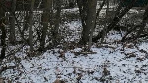 С.Ильинское.Дом6.02.2025.Обзор проводимых работ по реконструкции дренажной системы.Ильинского храма.