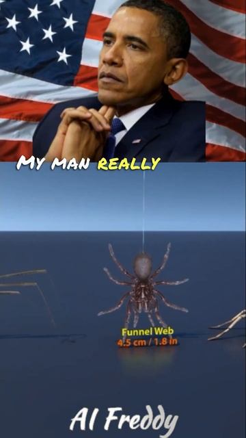 Presidents Spider Size Comparison #shorts смотреть онлайн