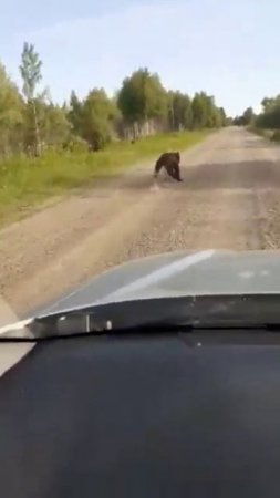 неподалеку от населенного пункта