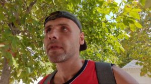 Польза и вред шаурмы