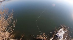 Выбросил все блесна! Оставил только эти! Убийца всей белой рыбы и хищников.