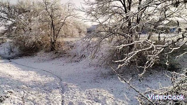 моя ЗИМНЯЯ СКАЗКА ❄️❄️❄️