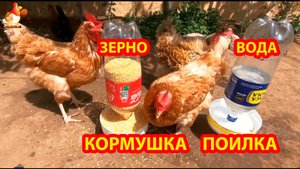 Кормушка и поилка из 2 л бутылок подвесные для кур несушек 💦🐓🤗