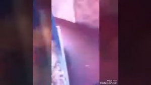 Обзор на моего хомяка Павлика.