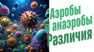 Аэробы и анаэробы. В чем их различие.
