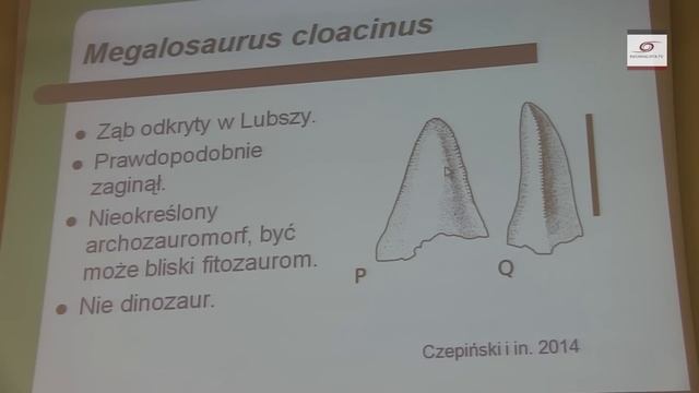 Polskie smoki: Smok wawelski i inne. Tomasz Skawiński смотреть онлайн