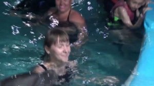 Дельфинарий в Шарм-эль-Шейхе I Купание с дельфинами