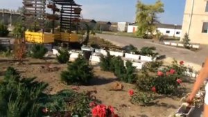 Oтдыхаем в Геническ