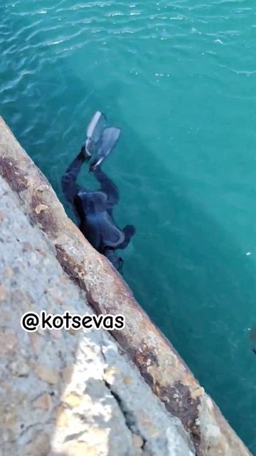 Рыбачит на мидий ))) напугал меня и рыбу наверное #морскаярыбалка