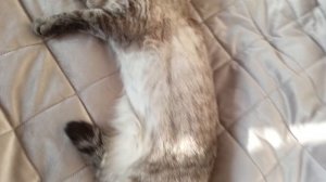 Получили документы, грибной суп, планы на отпуск.